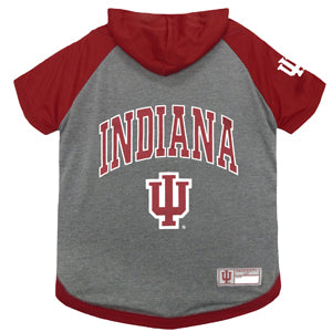 IU Hoodie